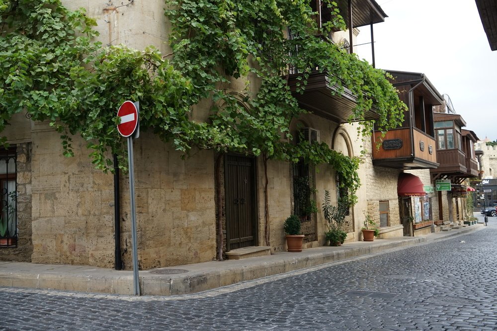 Фотография автора Ирина Зайцева