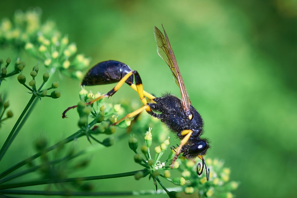 Photograph by Константин Усов