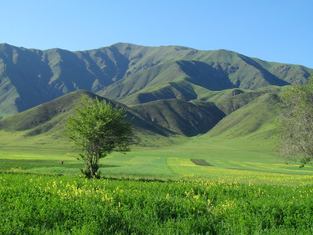 Photograph by Nazgul Usupbekova