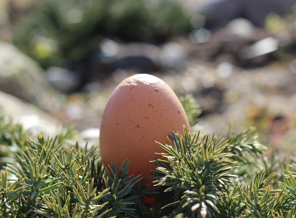 Photograph by Леся Дмітрук