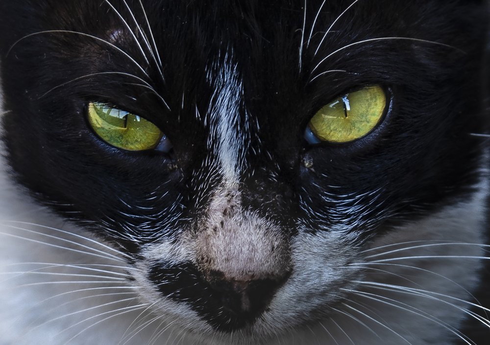 Hypnotic!