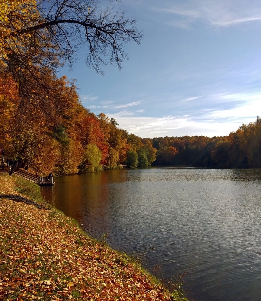 Осень-чудесница.