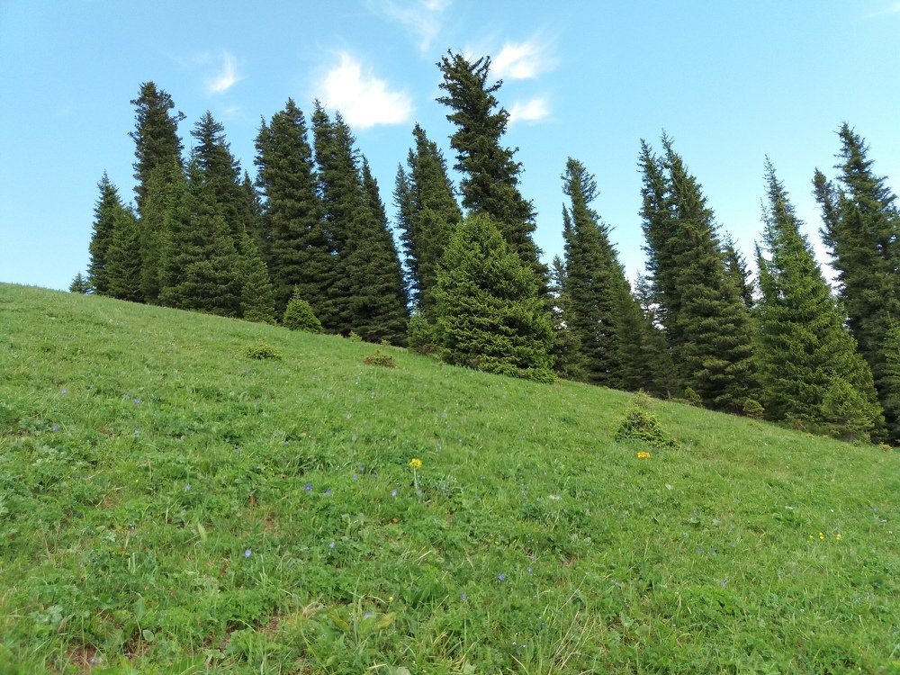 Photograph by Nazgul Usupbekova