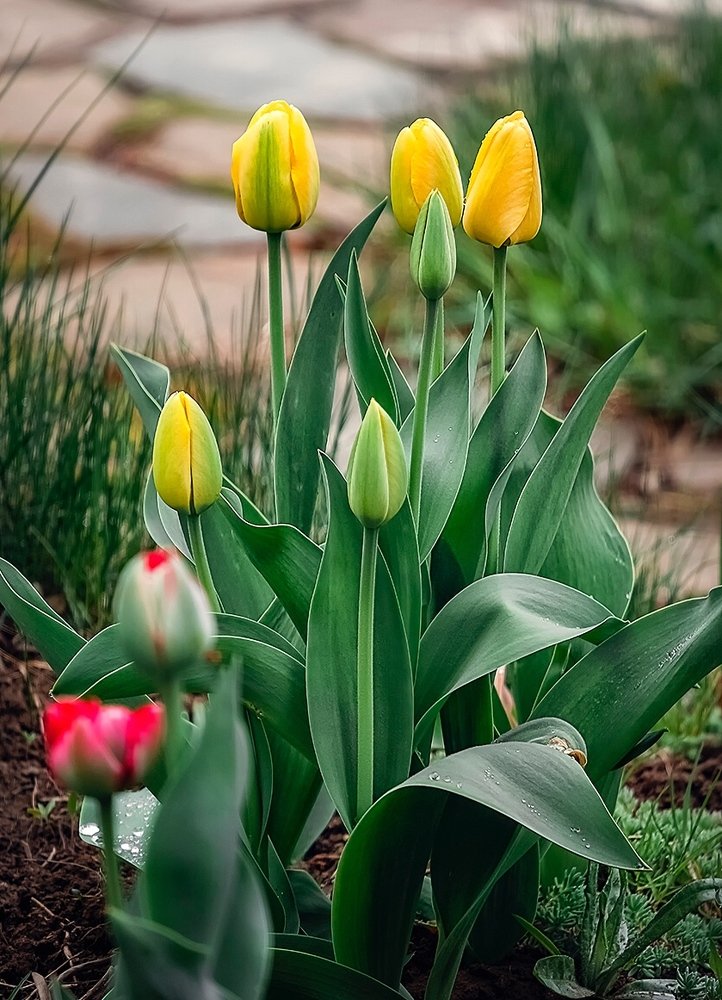 Photograph by Галина Иванова