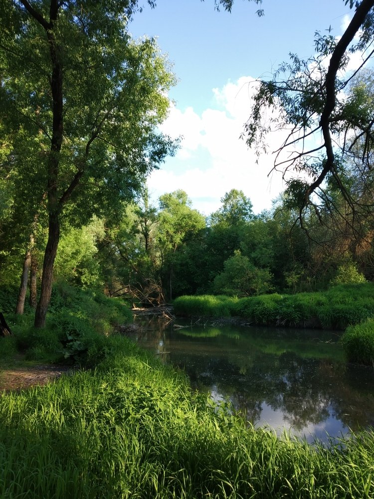 Река "Десна"