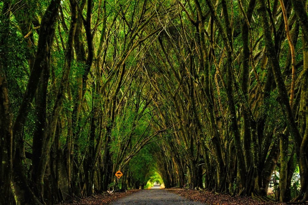 Photograph by EDUARDO DE CARVALHO