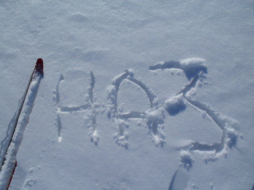 Photograph by Nazgul Usupbekova