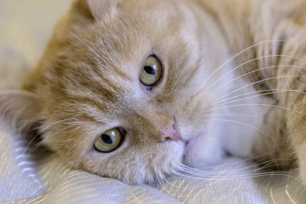 Photograph by Vladimir Sidorenko