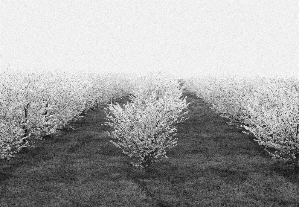 Photograph by Родосская Нонна