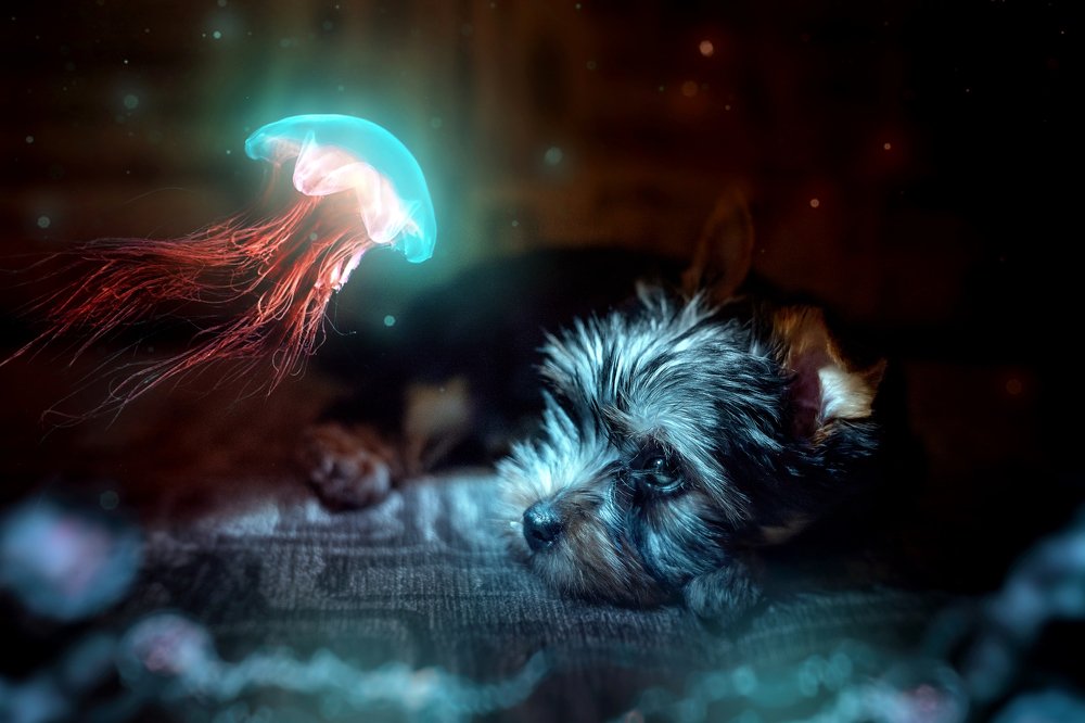 Photograph by Лукуть Ольга