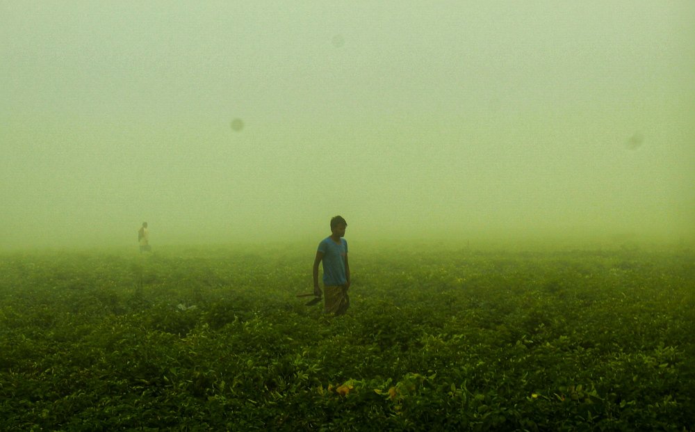 Photograph by Soumadip Das