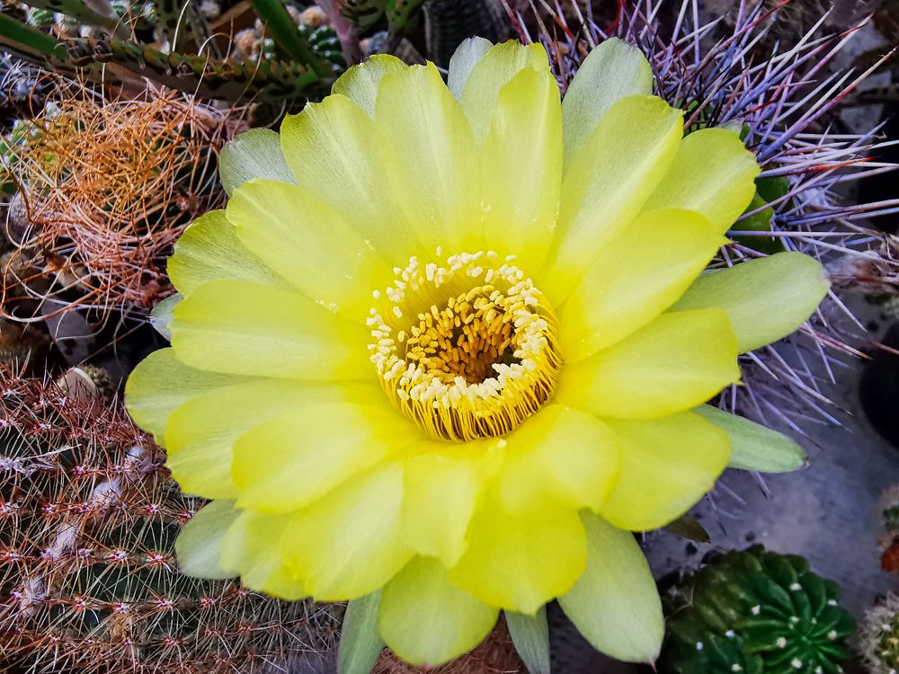 Photograph by Sandor Zoltan Gal