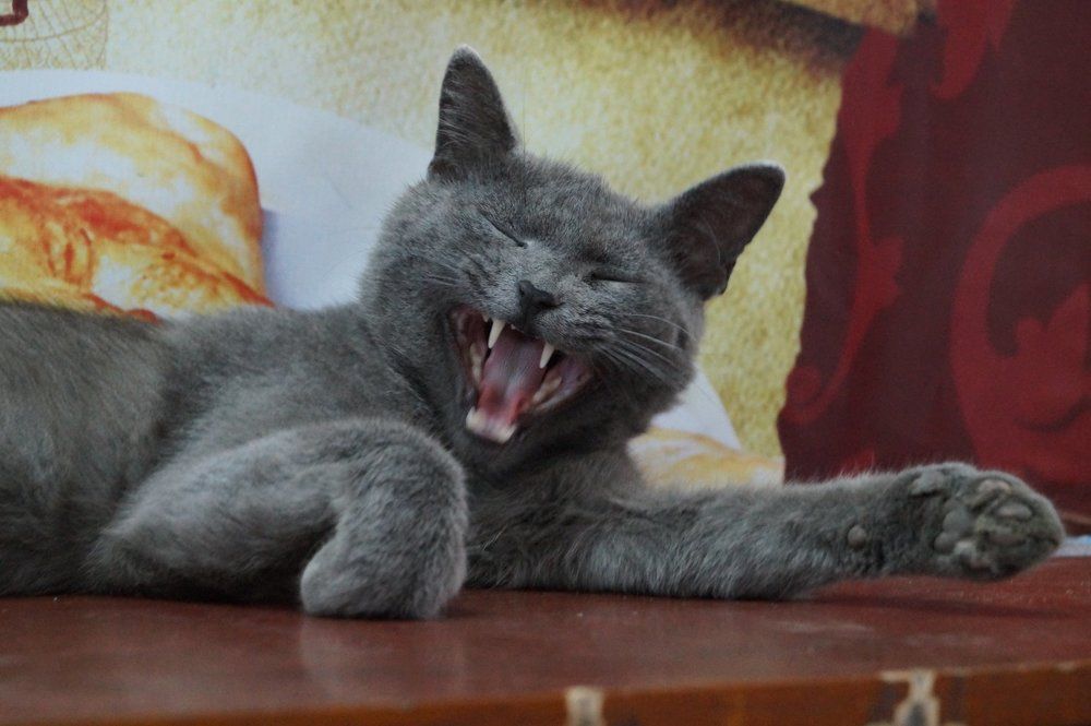 Photograph by Ирина Милонова