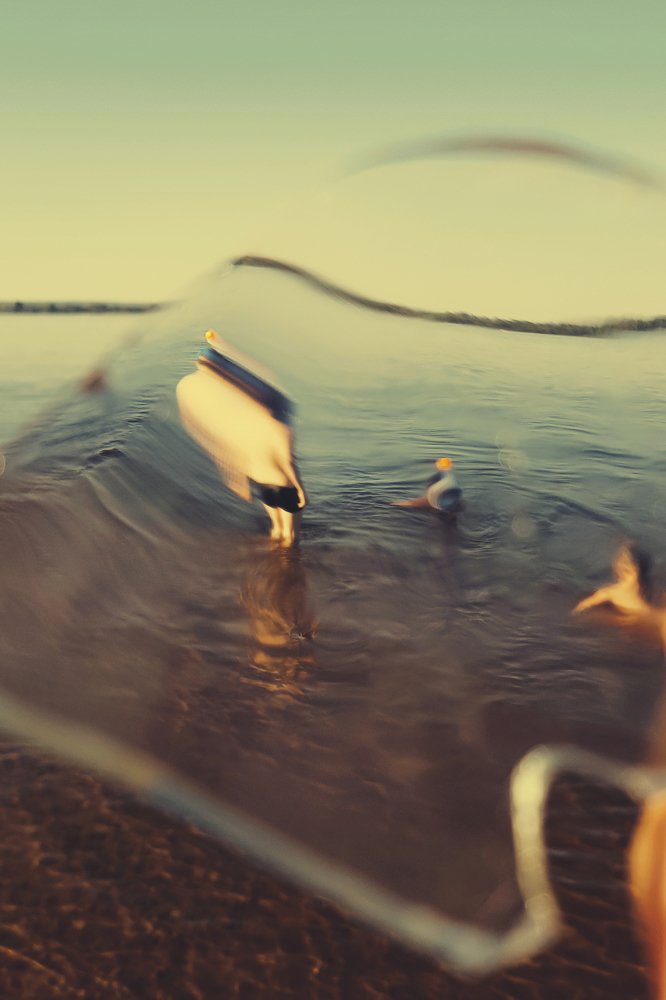 Photograph by Елена Руснак