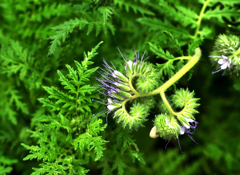 Photograph by Anna Doncila