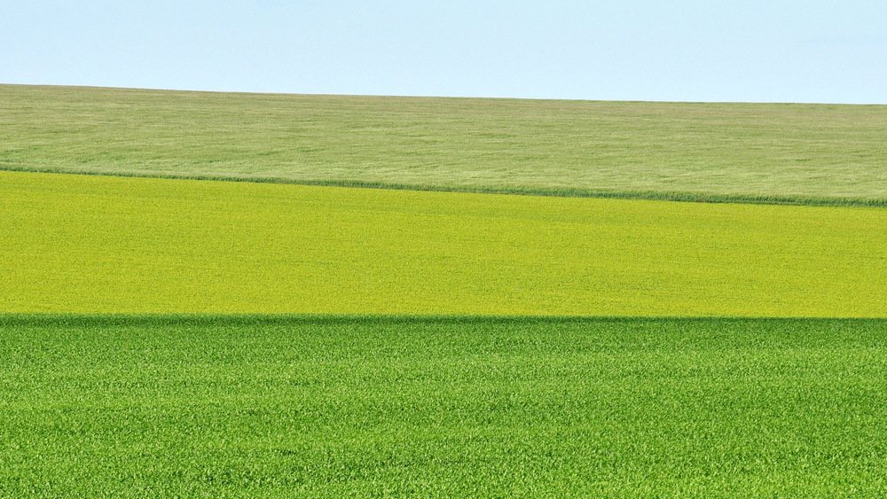 Photograph by Степанов Евгений