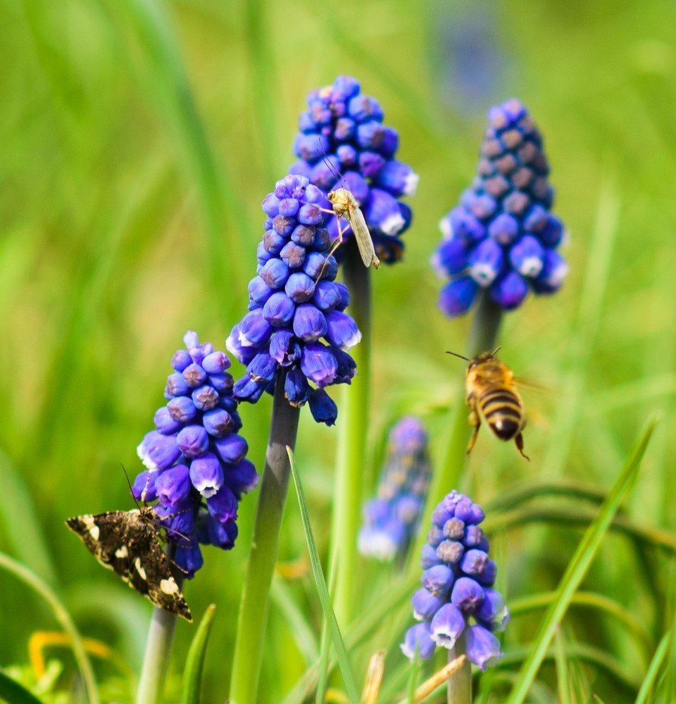 Photograph by Anna Doncila