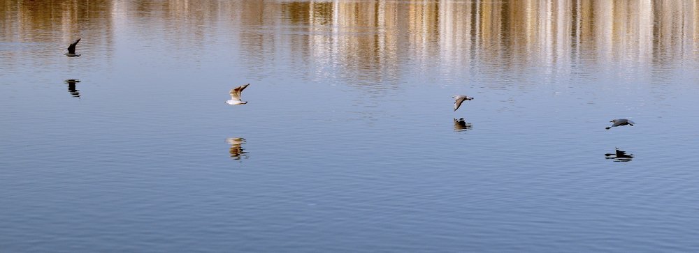 Photograph by Anna Doncila