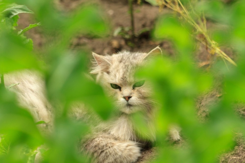 Отдых в зеленой зоне.