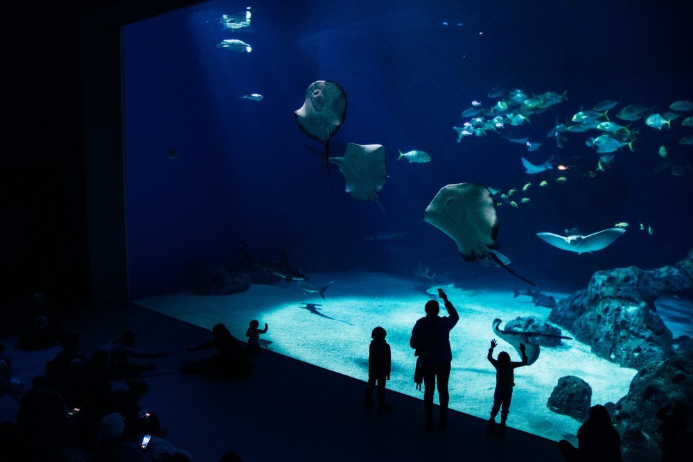 Photograph by Елена Демина