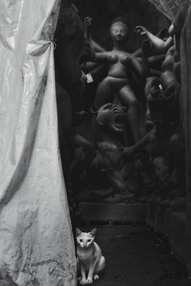 Photograph by Arpan Biswas