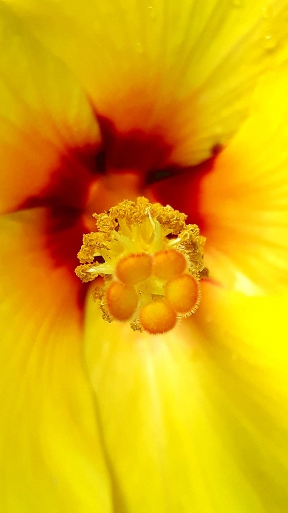 Photograph by Heong Chan Hoe