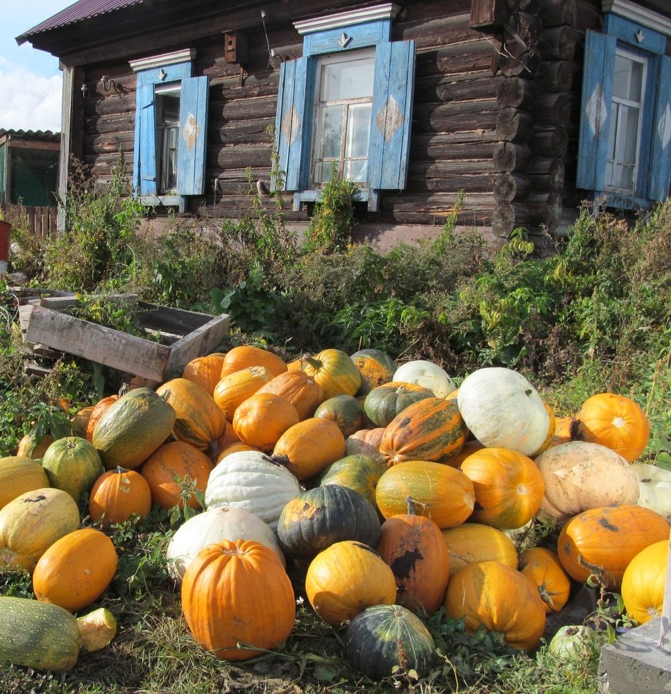 Солнечный