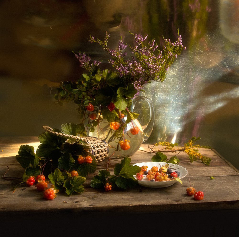 Морошка и вереск...