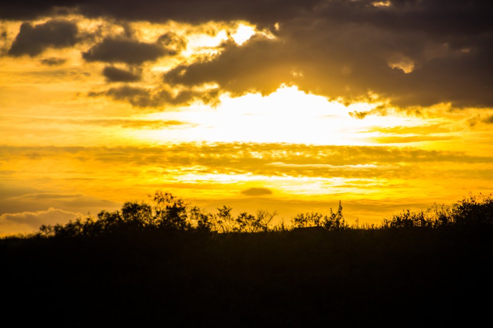 Photograph by Маринэ Тонунц