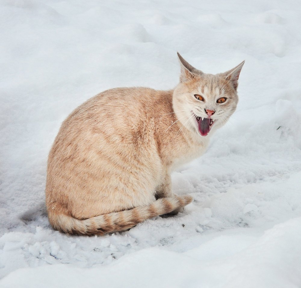 Photograph by muhamed borovic