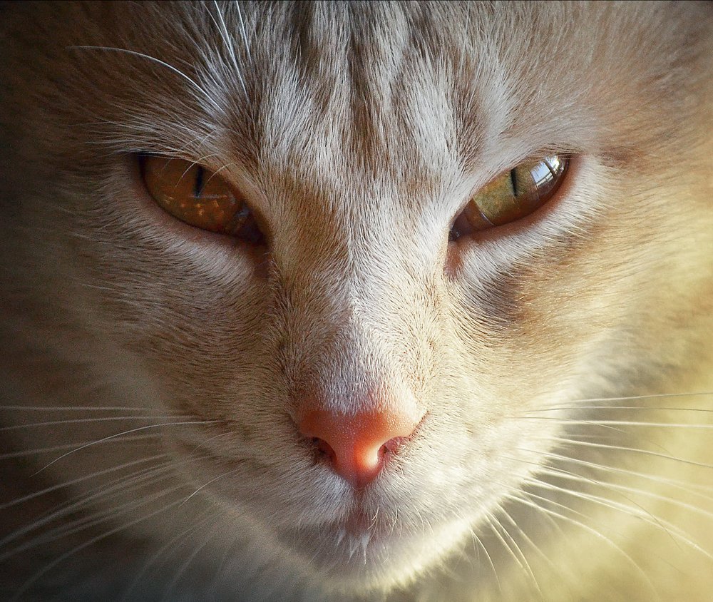 Photograph by muhamed borovic