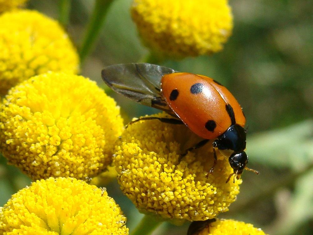 Фотография автора Павел Попов