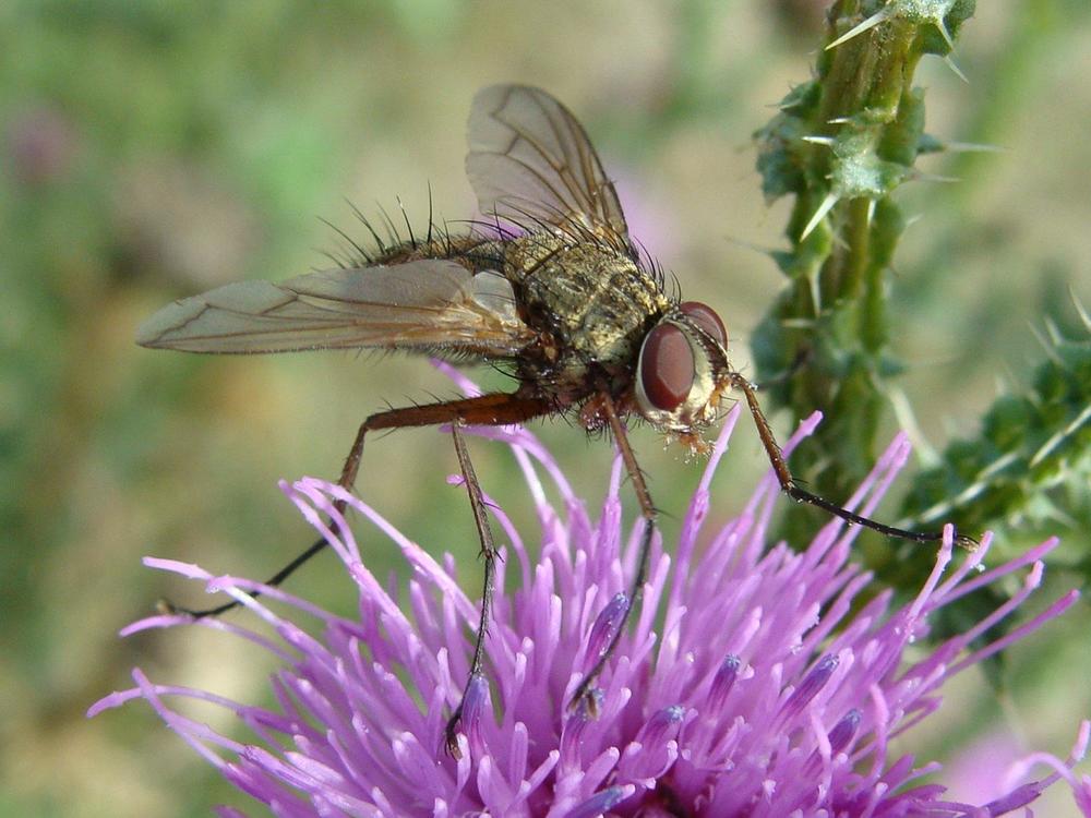 Фотография автора Павел Попов