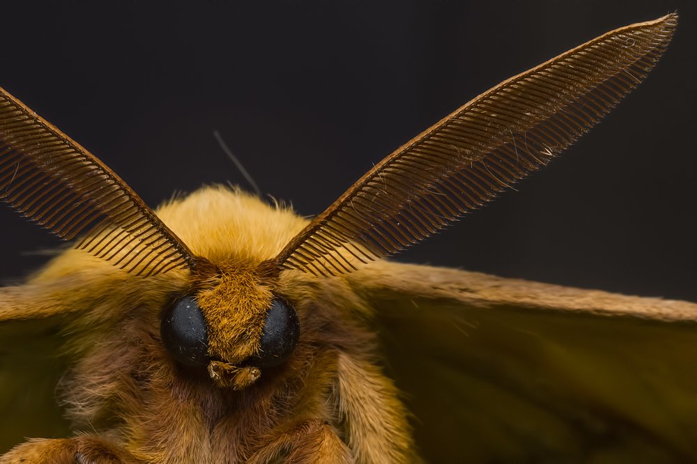 Фотография автора Arijit Mondal