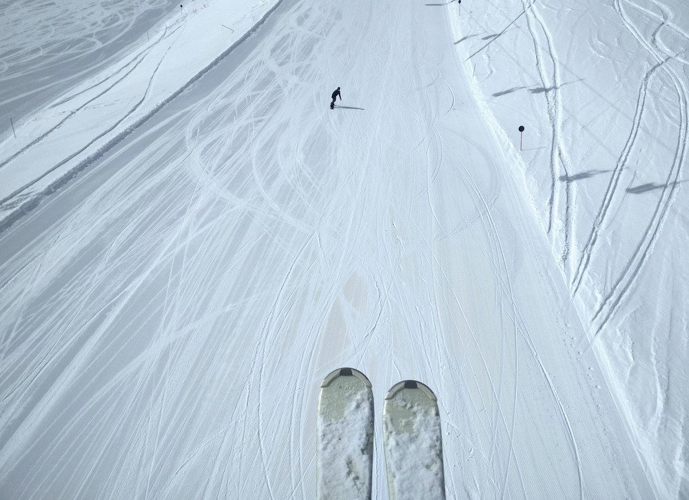 Photo #3583852