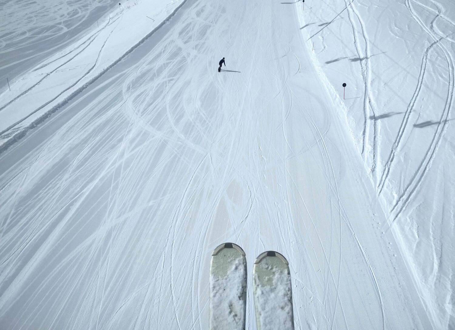 Photo #3583852