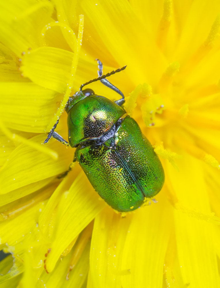 Photograph by Владимир Богданов