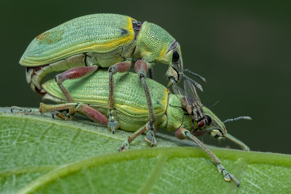 Фотография автора Arijit Mondal