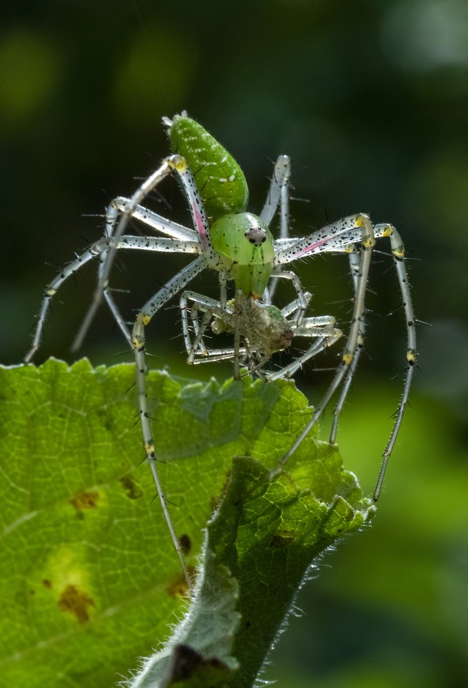 Фотография автора Arijit Mondal