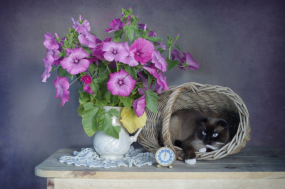 Photograph by Вера  Павлухина