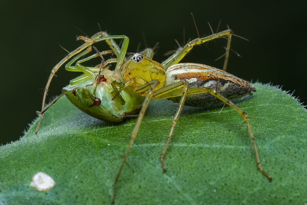 Фотография автора Arijit Mondal