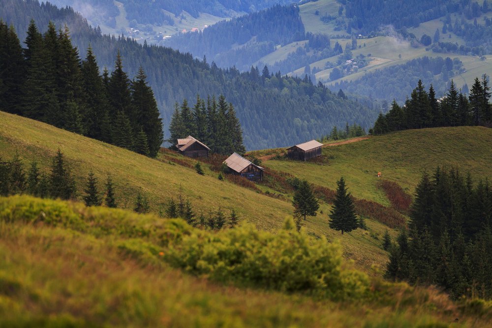 Карпаты - дома пастухов.