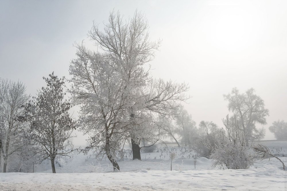 Зима в Тумане