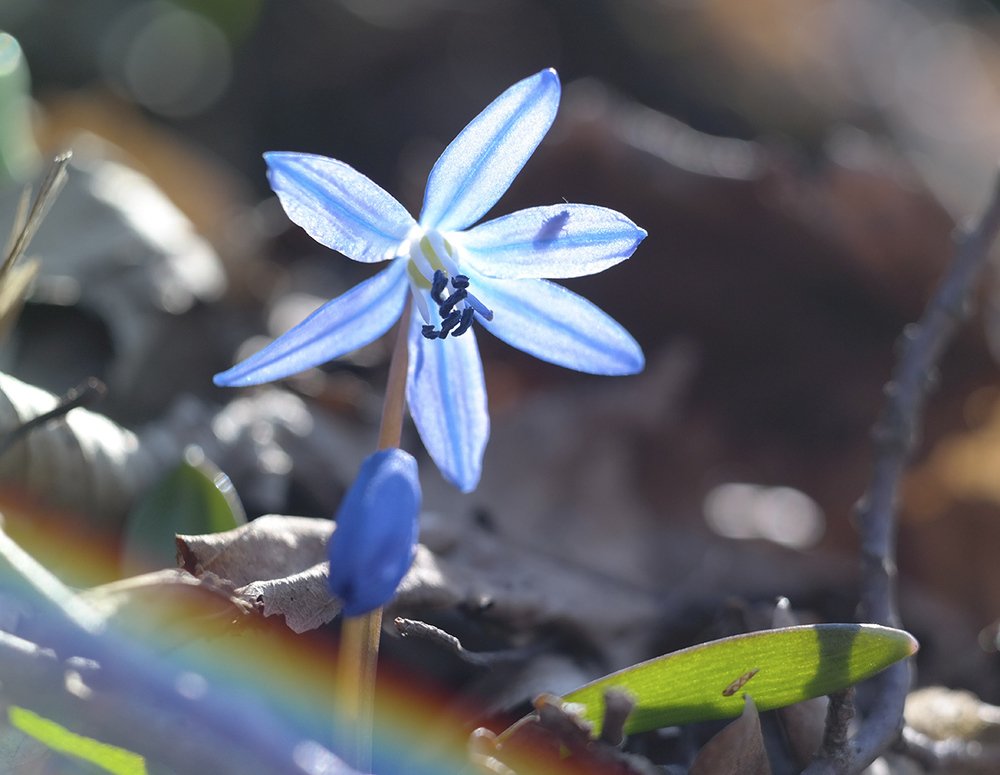Photograph by Владимир Богданов