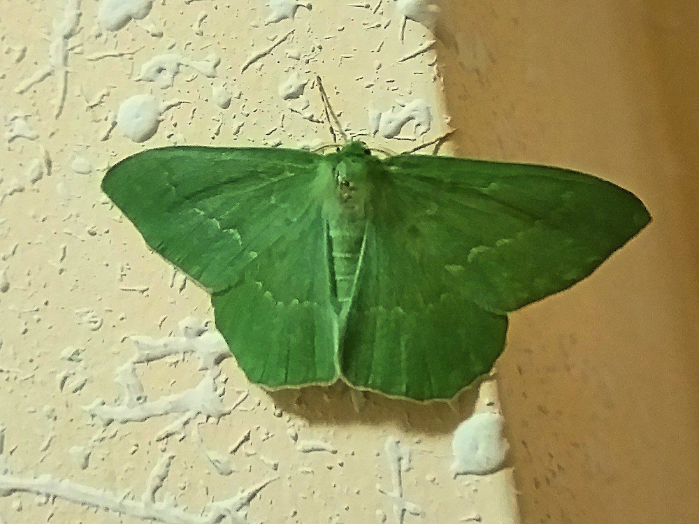 Photograph by Ирина Корнева