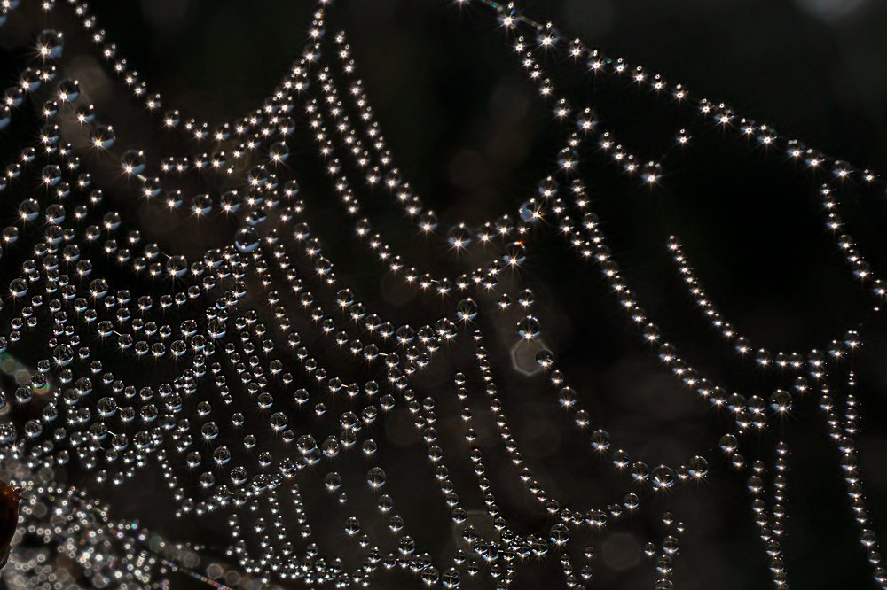 Photograph by Viktor Makarov