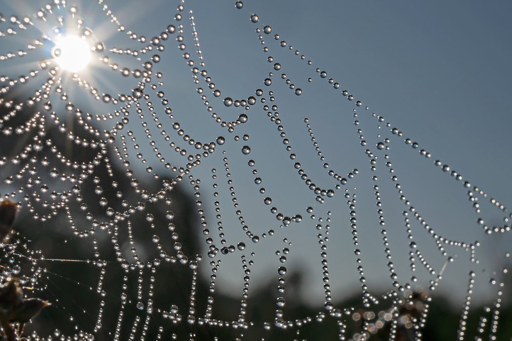 Photograph by Viktor Makarov