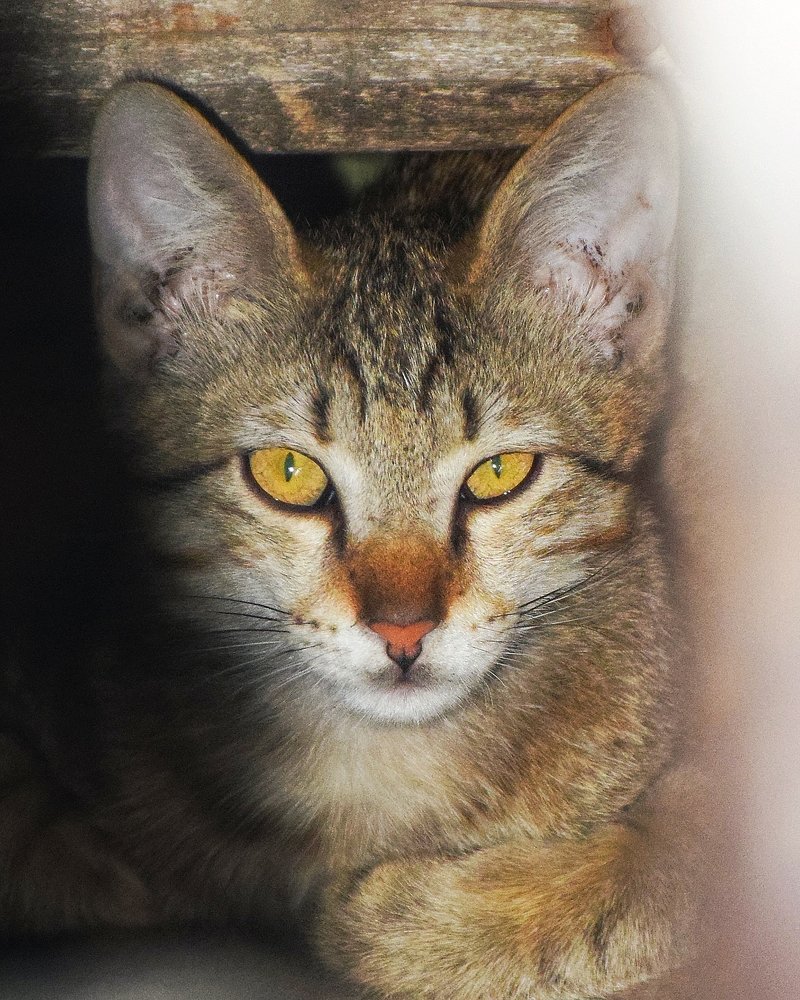 Photograph by Zakarya Ghazizadeh