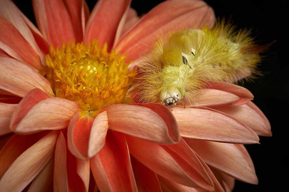 Photograph by Константин Усов