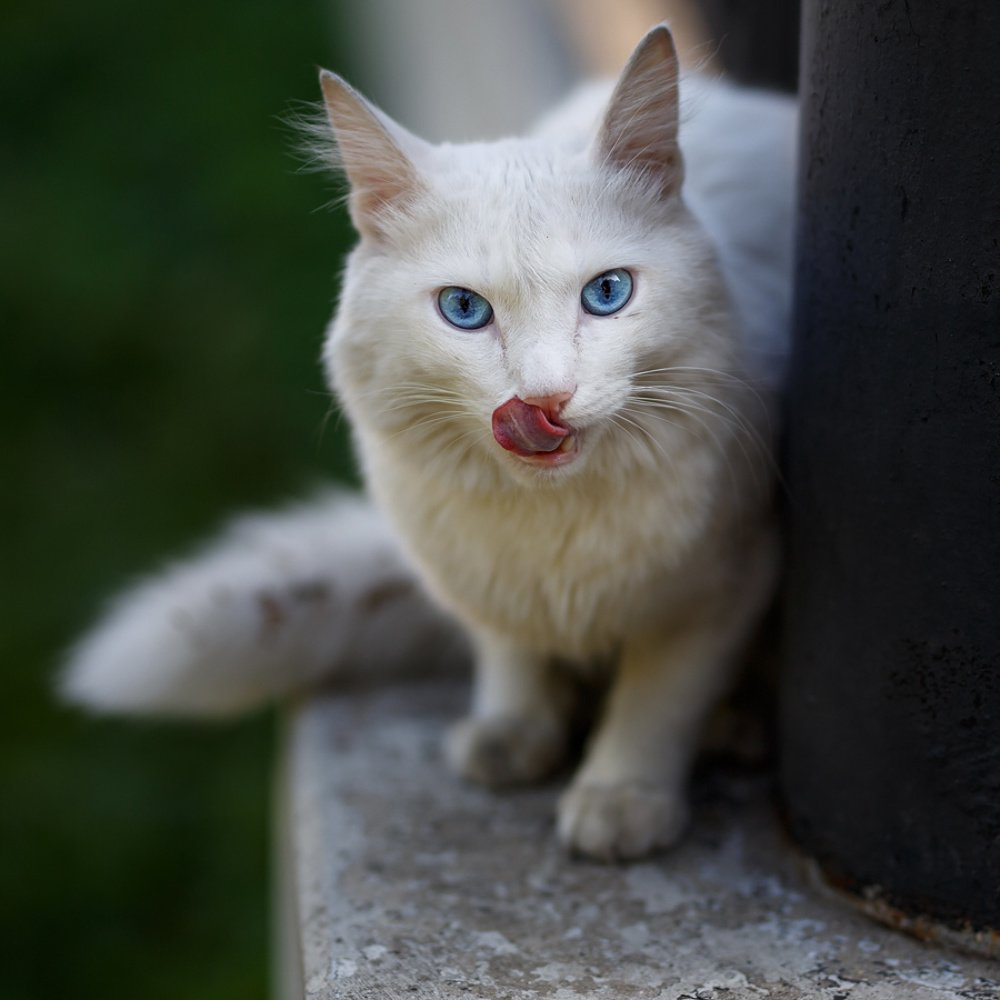 Photograph by Андрей Глуховцев